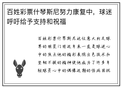 百姓彩票什琴斯尼努力康复中，球迷呼吁给予支持和祝福